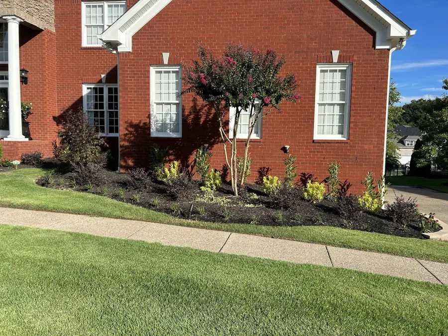 Finished front bed with shrubs
